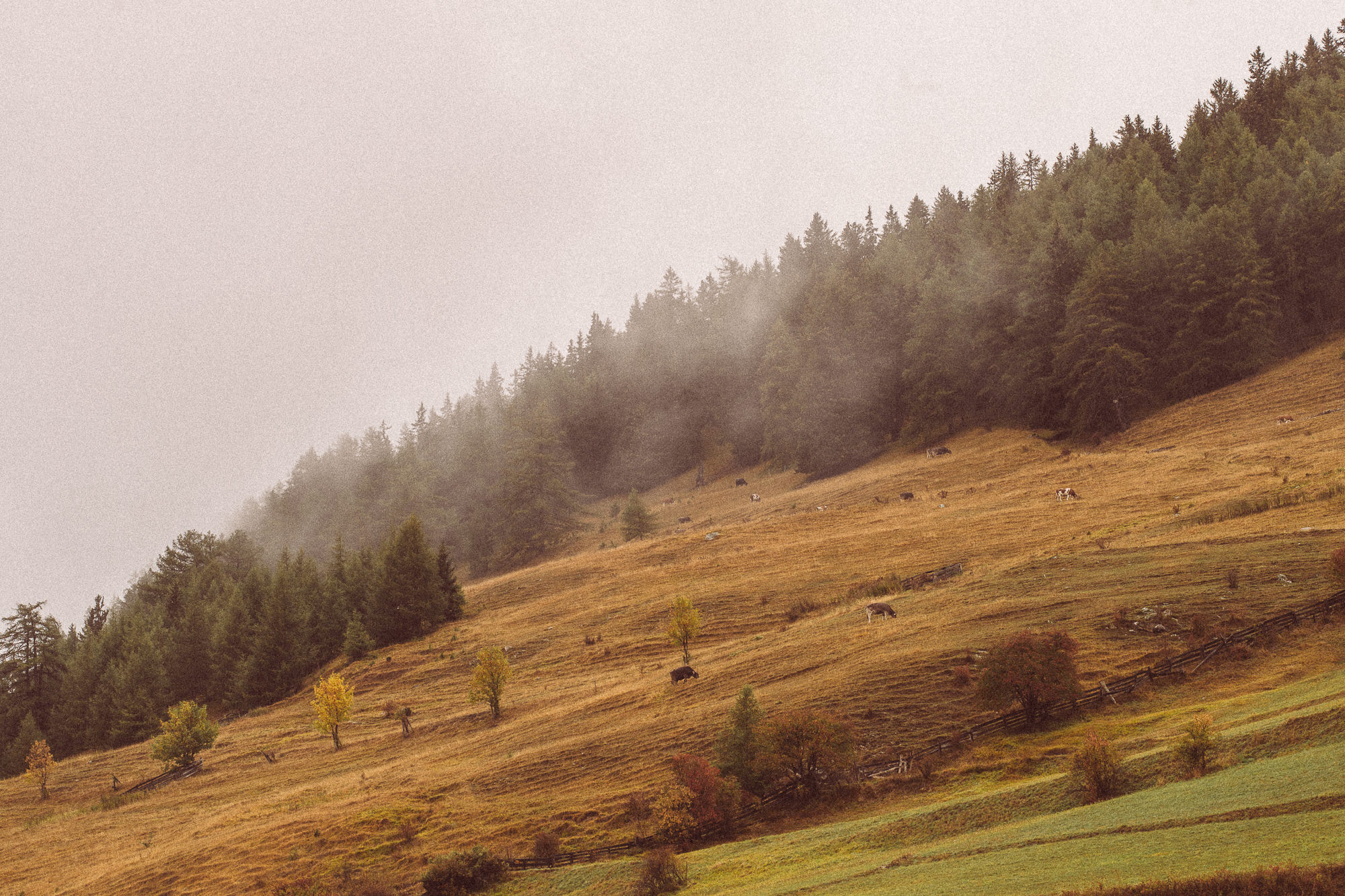 Export x3 1DX23875 Fotoshooting 2018 Annette & Mike Nauders 4